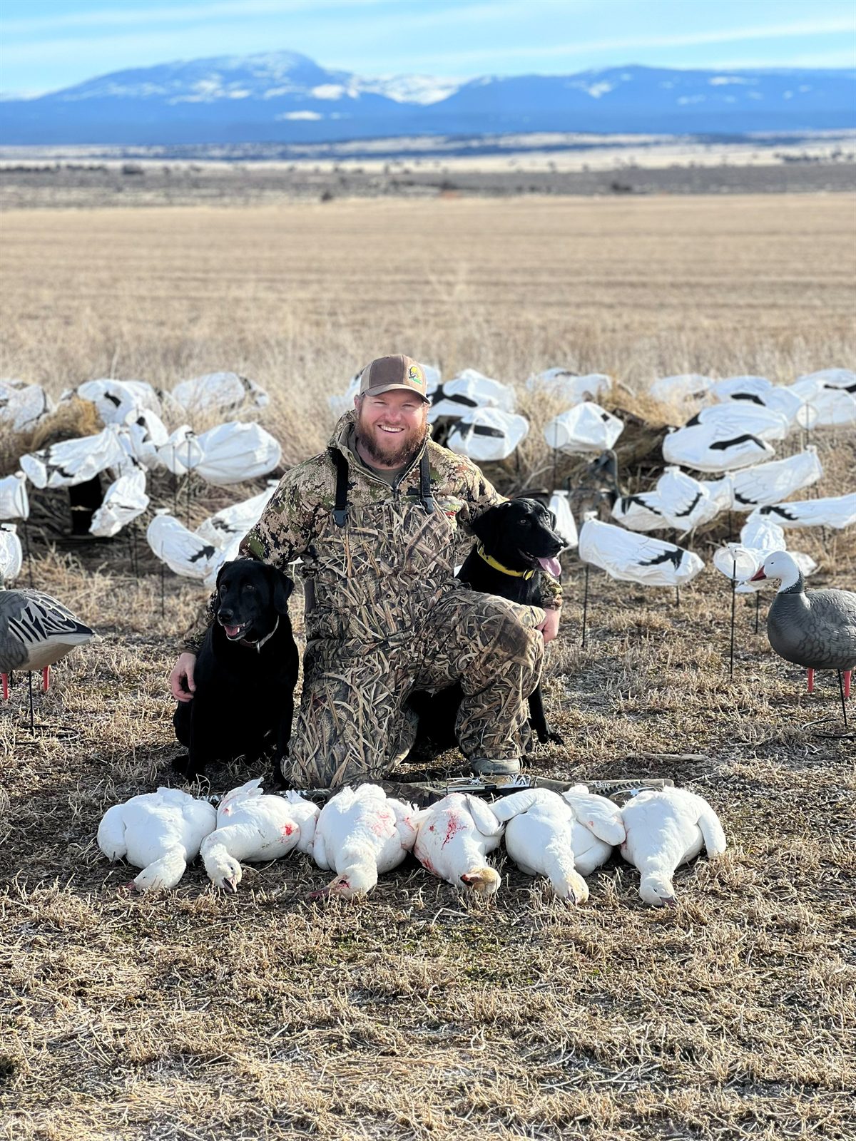 A successful waterfowl harvest, headed for the freezer